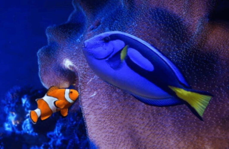 Mexico City: Fast Pass Ticket to Acuarium Inbursa - Why This Tour Works Well for Travelers