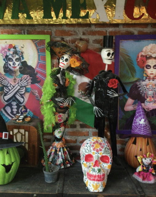 Mexico City: Frida Kahlo, Coyoacán, and Xochimilco Day Tour - A Closer Look at the Mexico City: Frida Kahlo, Coyoacán, and Xochimilco Tour