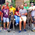 Mexico City: Gay Plazas - Why This Tour Is Worth Your Time