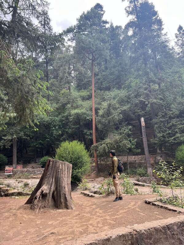 Mexico city: Hiking tour to Desierto de los leones - Deep Dive into the Itinerary