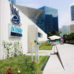 Mexico City: Inbursa Aquarium optional Round trip transfer - An In-Depth Look at the Inbursa Aquarium Experience