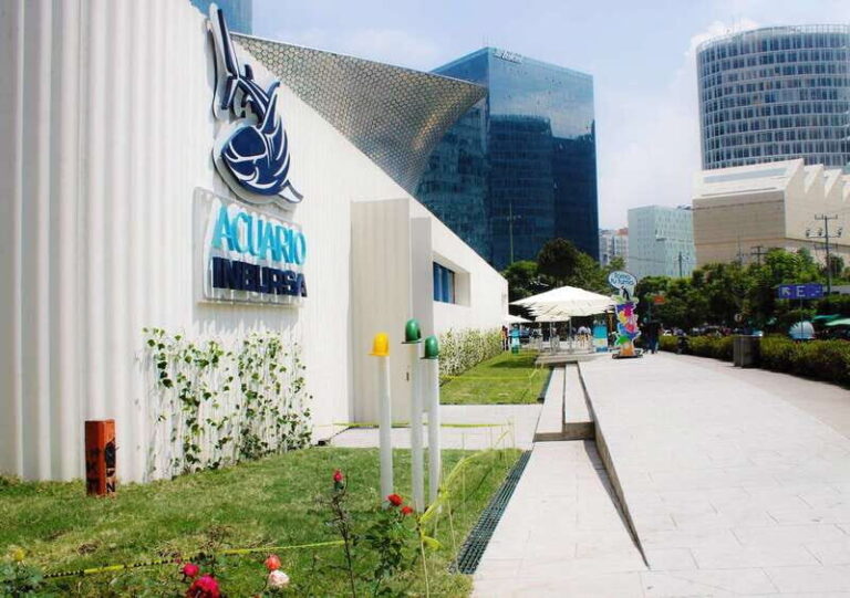 Mexico City: Inbursa Aquarium optional Round trip transfer - An In-Depth Look at the Inbursa Aquarium Experience