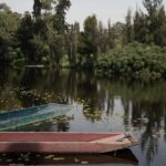 Mexico City Layover Tour Art, Culture and Color - Who Should Consider This Tour?