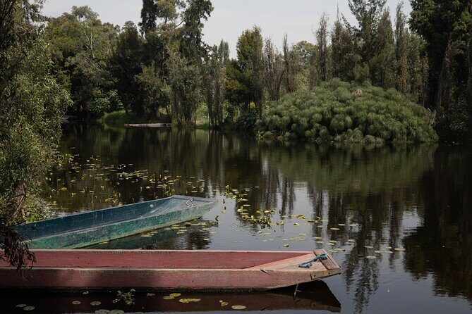 Mexico City Layover Tour Art, Culture and Color - Who Should Consider This Tour?