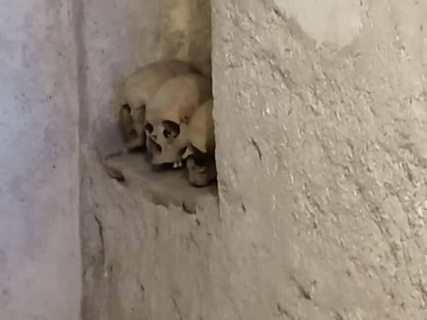 Mexico City: Museum of El Carmen Tour with Ticket - Practical Details and What to Keep in Mind