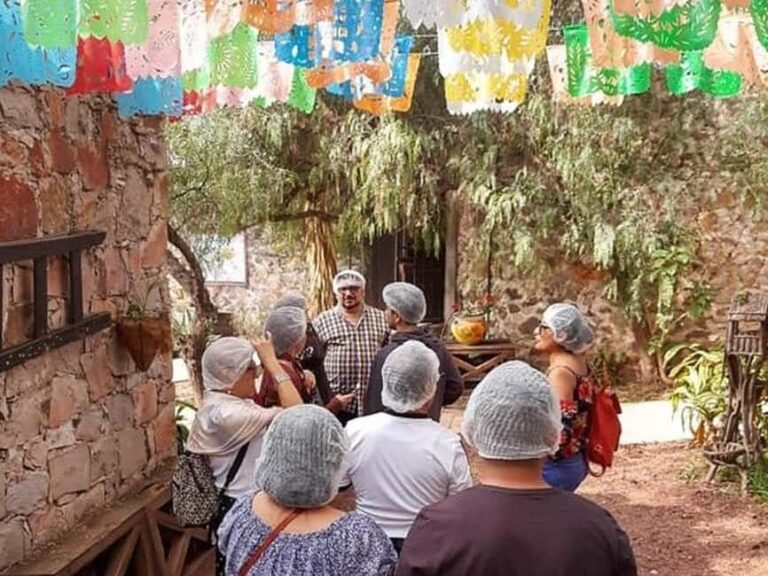 Mexico City: Private Cheese and Wine Tour to Queretaro - An In-Depth Look at the Itinerary