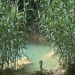 Mexico City: Taxco Thousand Waterfalls - Natural Water Park - A Day of Nature and Adventure: What to Expect