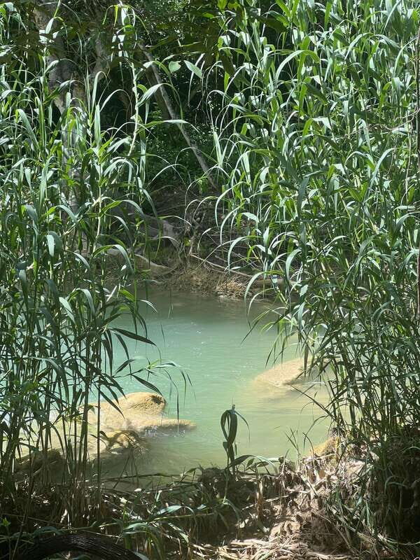 Mexico City: Taxco Thousand Waterfalls - Natural Water Park - A Day of Nature and Adventure: What to Expect