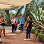 Mexico City: Teotihuacan, Tlatelolco & Basilica of Guadalupe - Why This Tour Offers Great Value