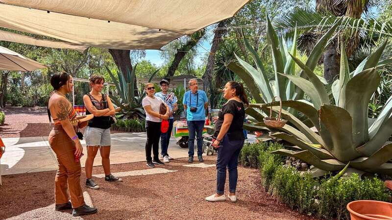 Mexico City: Teotihuacan, Tlatelolco & Basilica of Guadalupe - Why This Tour Offers Great Value