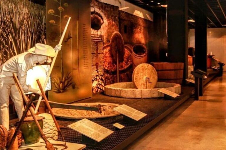 Mexico City: Tequila and Mezcal Museum Ticket with Tastings - What Sets This Tour Apart?