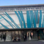 Mexico City: Tequila and Mezcal Museum Tour with Tasting - An In-Depth Look at the Experience