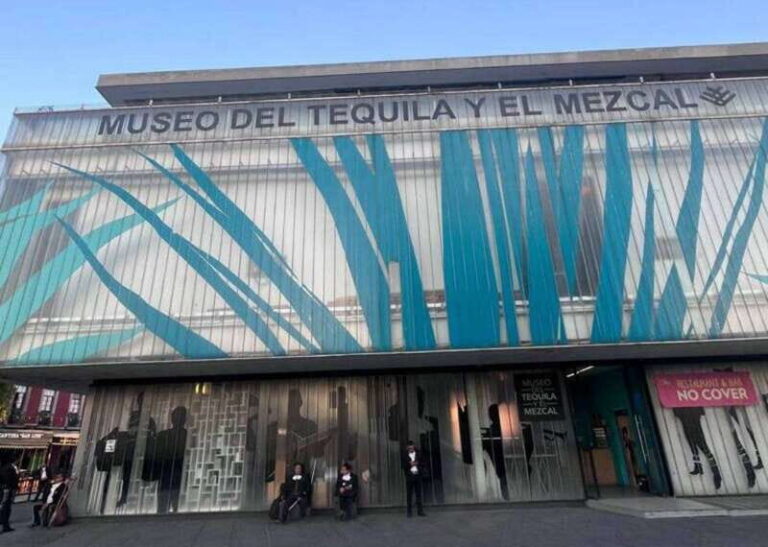 Mexico City: Tequila and Mezcal Museum Tour with Tasting - An In-Depth Look at the Experience