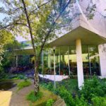 Mexico City: UNAM Campus walking Tour with Guide - A Deep Dive into the UNAM Campus Walking Tour