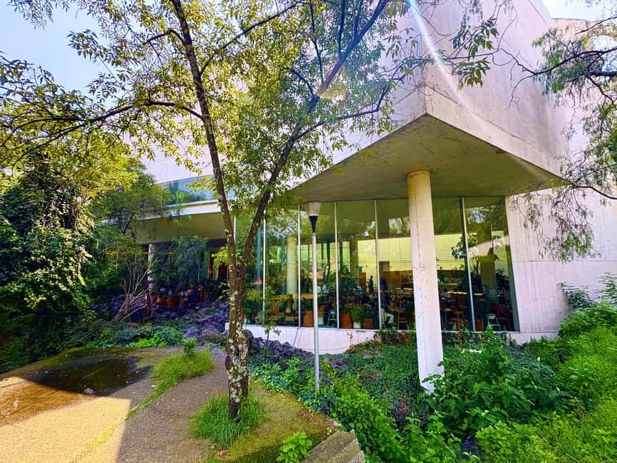 Mexico City: UNAM Campus walking Tour with Guide - A Deep Dive into the UNAM Campus Walking Tour