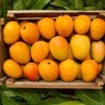 Mexico's Tropical Fruit Guided Tasting in Mexico City - Why This Tour Is Worth It