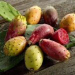 Mexico's Tropical Fruit Guided Tasting in Monterrey - Who Will Love This Tour?