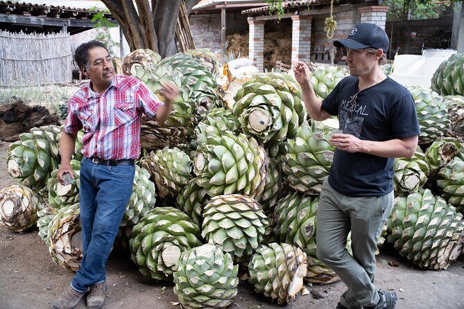 Mezcal Distillery Day Trip - Exploring the Itinerary in Detail