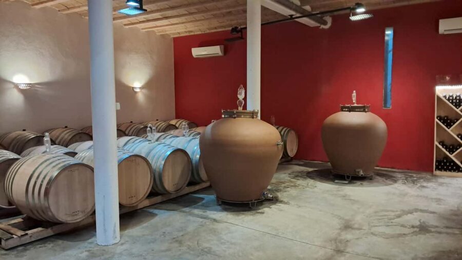 Mèze: Guided Tour of the Estate & Wine Tasting - Discovering the Heart of South France Winemaking