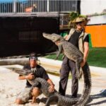 Miami Beach: Everglades Airboat Tours and Rides - The Practical Aspects