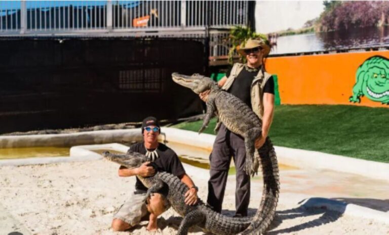 Miami Beach: Everglades Airboat Tours and Rides - The Practical Aspects
