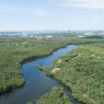 Miami Beach Helicopter Tour - The Value of the Experience