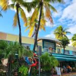 Miami Beach/ Miami: private city tour - Reviews and Real Experiences