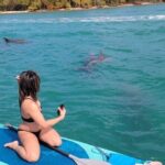 Miami Biscayne Bay Boat Tour with Sandbar Experience. - Who Should Book This Tour?