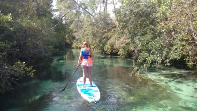 Miami: Biscayne Bay Ultimate Boat Tour with Kayak Experience - Who Will Love This Tour?