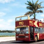 Miami: Hop-on Hop-off Open-top Bus Tour and Optional Cruise - What to Expect from This Tour