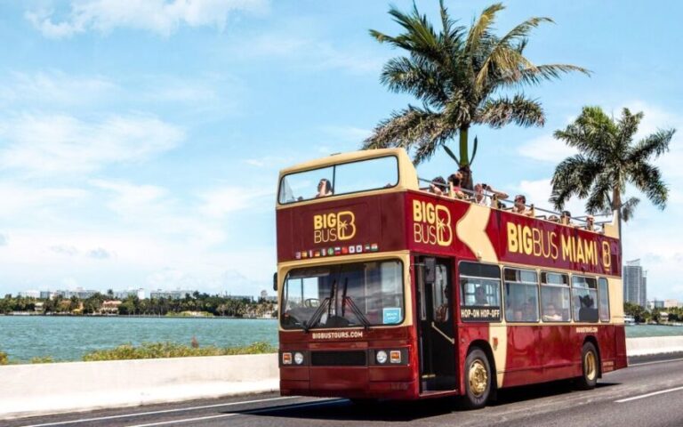 Miami: Hop-on Hop-off Open-top Bus Tour and Optional Cruise - What to Expect from This Tour