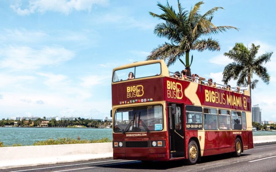 Miami: Hop-on Hop-off Open-top Bus Tour and Optional Cruise - What to Expect from This Tour
