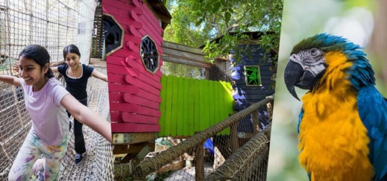 Miami: Jungle Island General Admission - Exploring Jungle Island: What to Expect