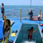 Miami: Key West Boat Tour w/ Optional Snorkeling & Open Bar - The Full Breakdown: What to Expect on This Tour