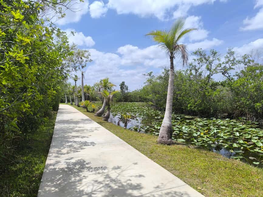 Miami: Private tour of the Everglades in French in a convertible Mustang - Final Thoughts: Who Will Love This Tour?