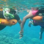 Miami Snorkeling for Beginners from Bayside Market Place - What the Reviews Reveal