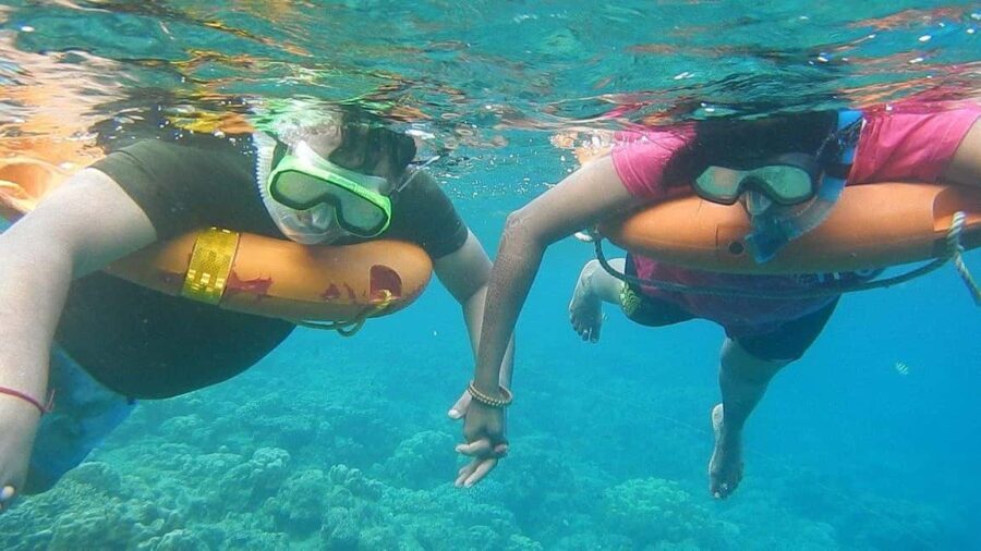 Miami Snorkeling for Beginners from Bayside Market Place - What the Reviews Reveal