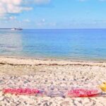 Miami/South Beach: Clear Kayak Photoshoot with Drone - The Practicality and Value of This Experience