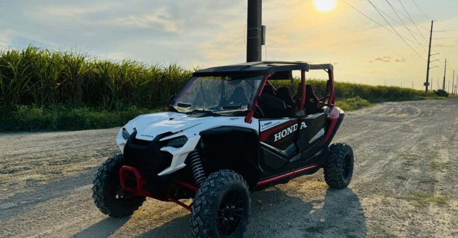 Miami's Ultimate Buggy Adventure on a Honda Talon UTV - Good To Know
