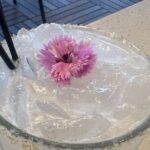 Midtown Atlanta Boozy Brunch Tour - Practical Details: What It’s Like on the Day