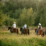 Midway, Utah: Horseback Riding Tour with Guide - The Experience in Detail