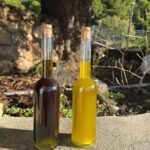 Mijas: Exclusive Vineyard Tour and Organic Wine Tasting - Authentic, Small-Scale, and Educational