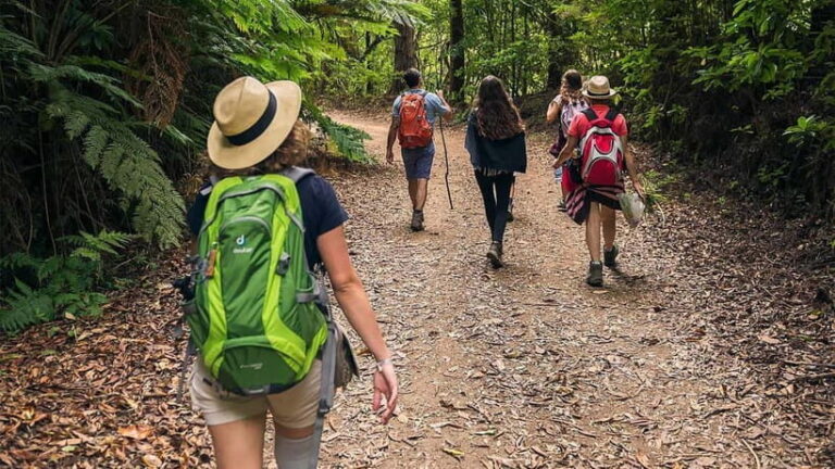 Mimosa Valley Trail: Explore Maroços - An In-Depth Look at the Mimosa Valley Trail Experience