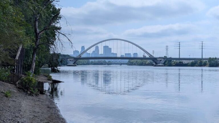 Minneapolis: Past and Present Walking Tour - Who Should Consider This Tour?