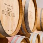 Miquel Jané Winery: tour with audio guide - The Itinerary in Detail