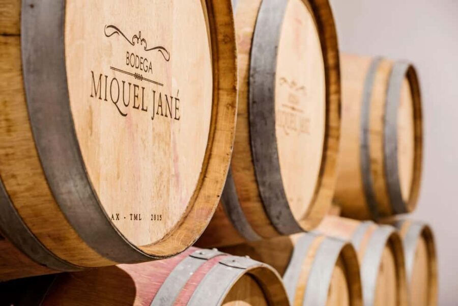 Miquel Jané Winery: tour with audio guide - The Itinerary in Detail