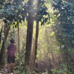 Mismaloya Waterfalls Private Tour in Puerto Vallarta - The Hike and Waterfalls Experience