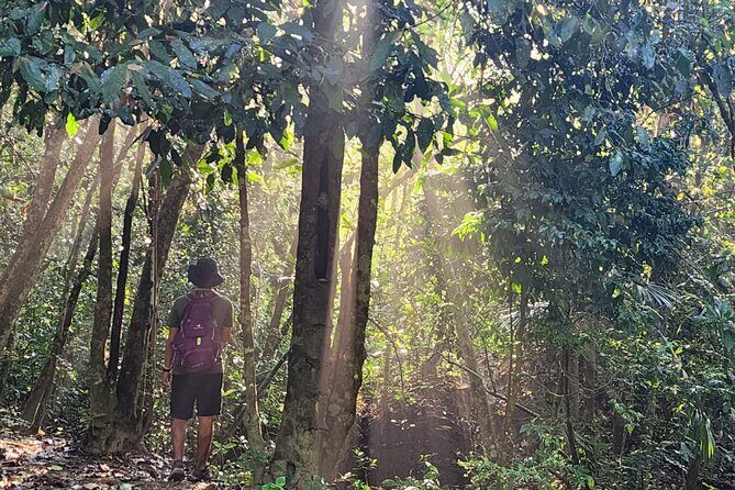 Mismaloya Waterfalls Private Tour in Puerto Vallarta - The Hike and Waterfalls Experience