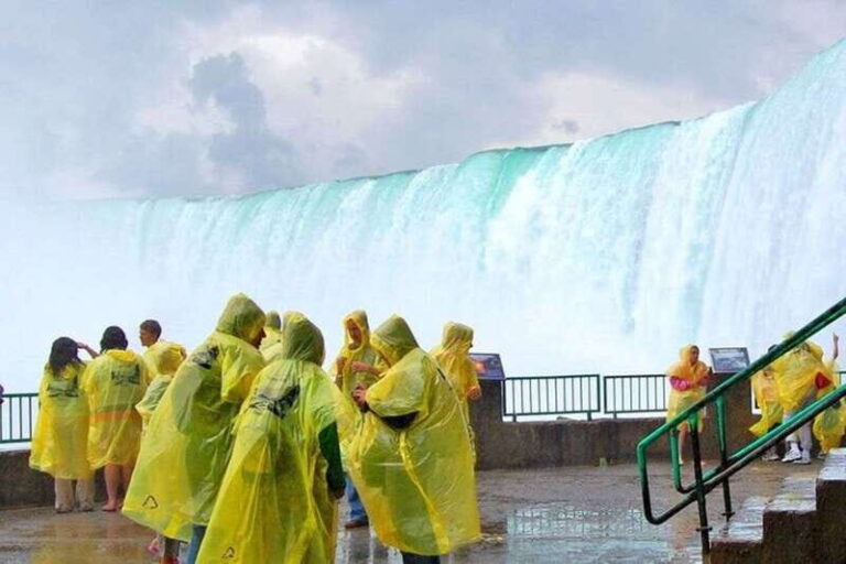 Mississauga: Niagara Falls Day Tours with Boat and Lunch - Authentic Insights from Travelers