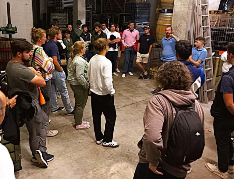 Mittelwihr: Christmas of yesteryear at the winemaker's - Exploring the Mittelwihr Christmas Tour